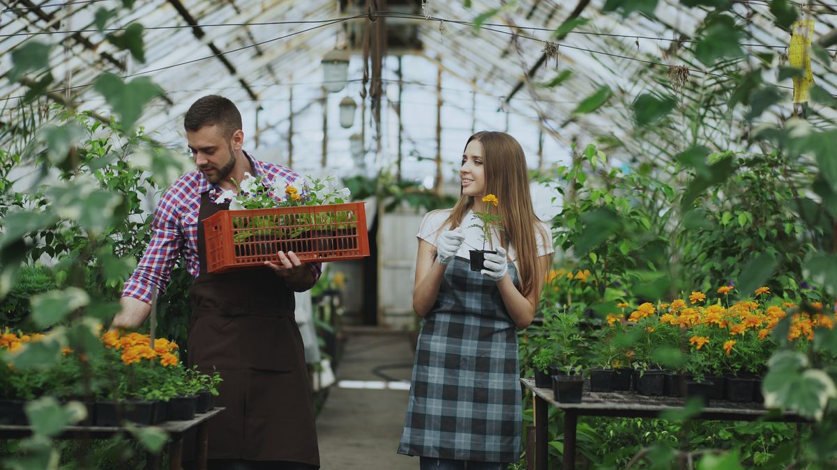 Home Jardineria Card
